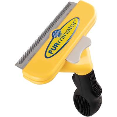 O Tamanho Certo da Escova: Adaptando-se ao Porte do seu Cão - inspiração 2