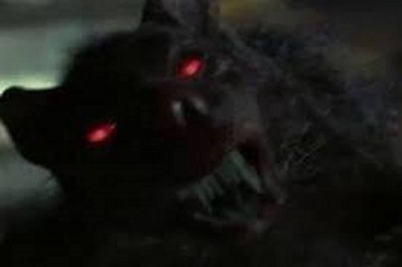 A Trama da Sobrevivência: Anatomia do Suspense em 'O Rato' (Willard) - inspiração 2