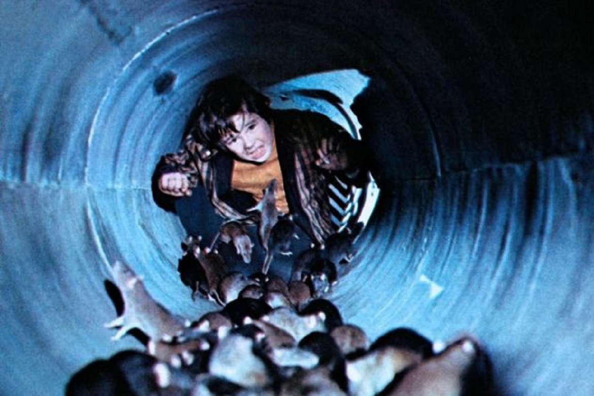 Efeitos Especiais em Evolução: Como os Filmes de Ratos se Tornaram Mais Assustadores - inspiração 1