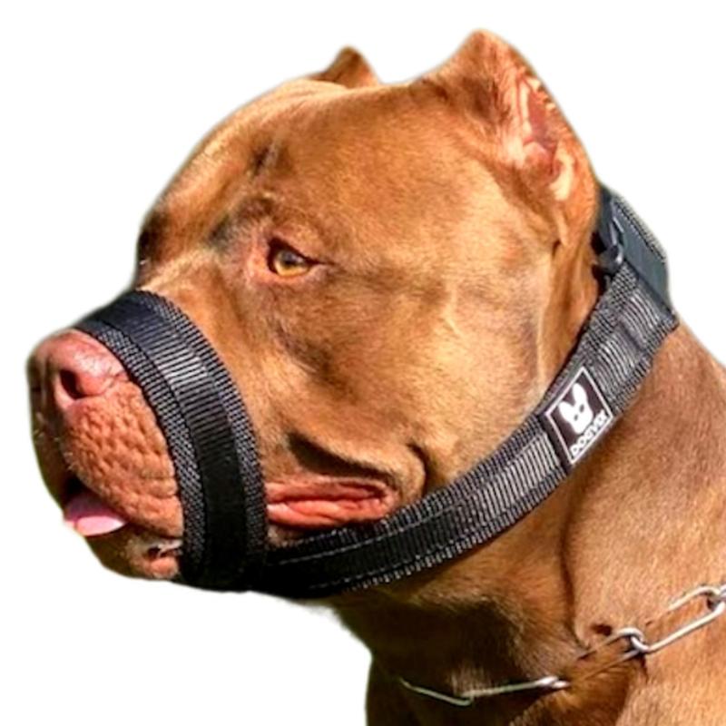 Materiais que Garantem Leveza e Durabilidade - inspiração 1