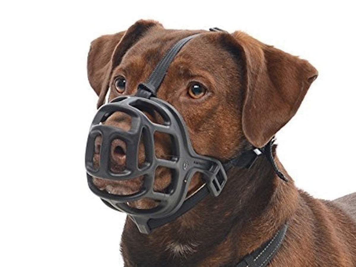 Materiais que Garantem Leveza e Durabilidade - inspiração 2