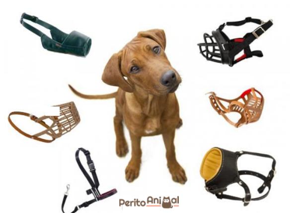 Design Ergonômico: Adaptação Perfeita ao Rosto do Pet - inspiração 2