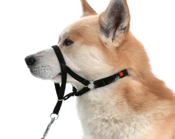 Sistema de Fixação Seguro e Ajustável - inspiração 1