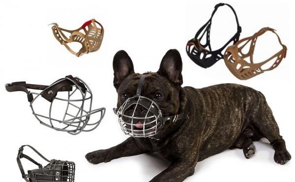 Avaliação da Resistência e Segurança do Material - inspiração 1