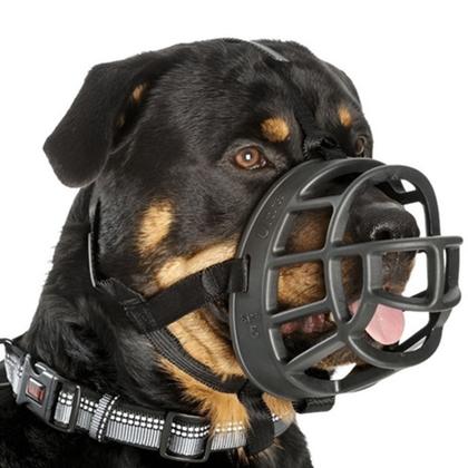 Focinheiras que Permitem a Abertura da Boca para Beber Água - inspiração 1