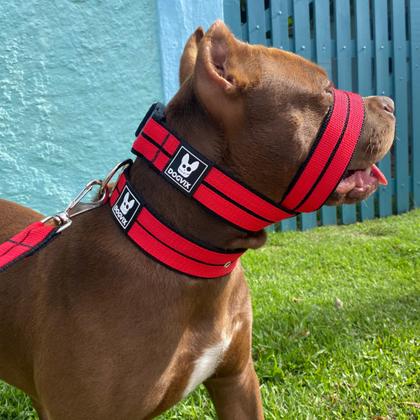 Modelos Discretos e Eficientes para o Dia a Dia - inspiração 1