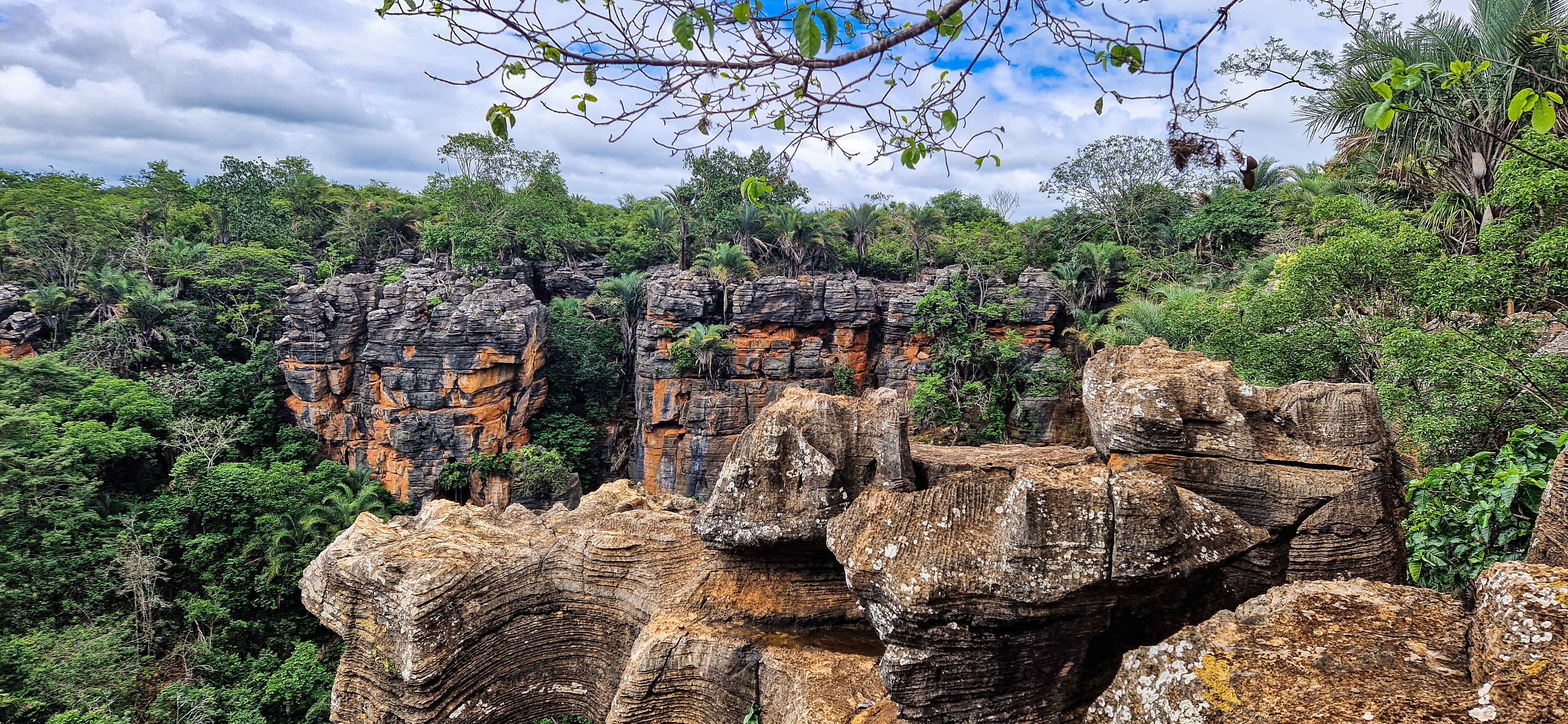 Serra da Mantiqueira (SP/MG/RJ): Paisagens Majestosas e Clima Ameno - inspiração 1