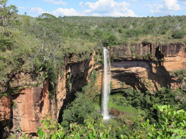 Pantanal (MS/MT): O Santuário da Vida Selvagem em Passarelas Naturais - inspiração 2