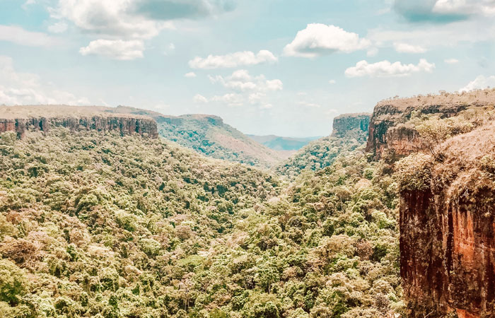 Chapada dos Veadeiros (GO): Energia e Cerrado Vibrante - inspiração 2
