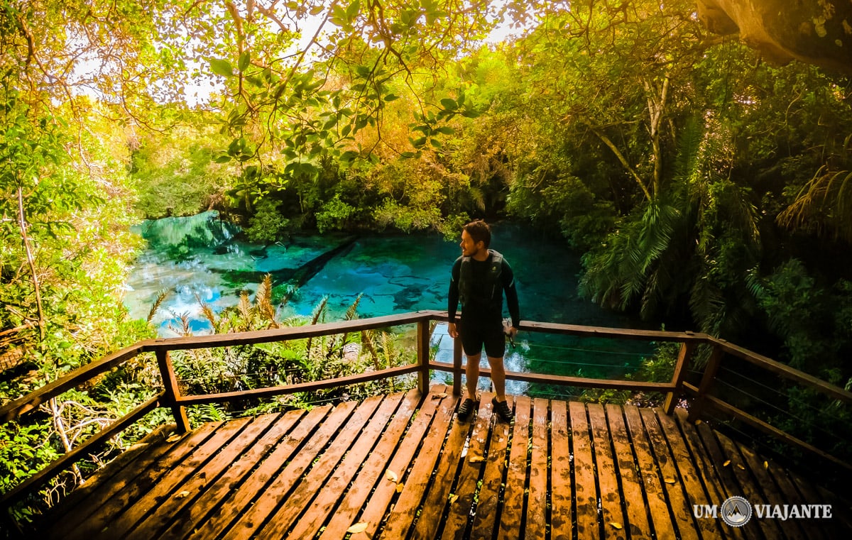 Flutuação no Rio da Prata: Um Mergulho em Águas Cristalinas - inspiração 1