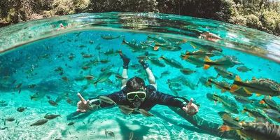 Flutuação no Rio da Prata: Um Mergulho em Águas Cristalinas - inspiração 2