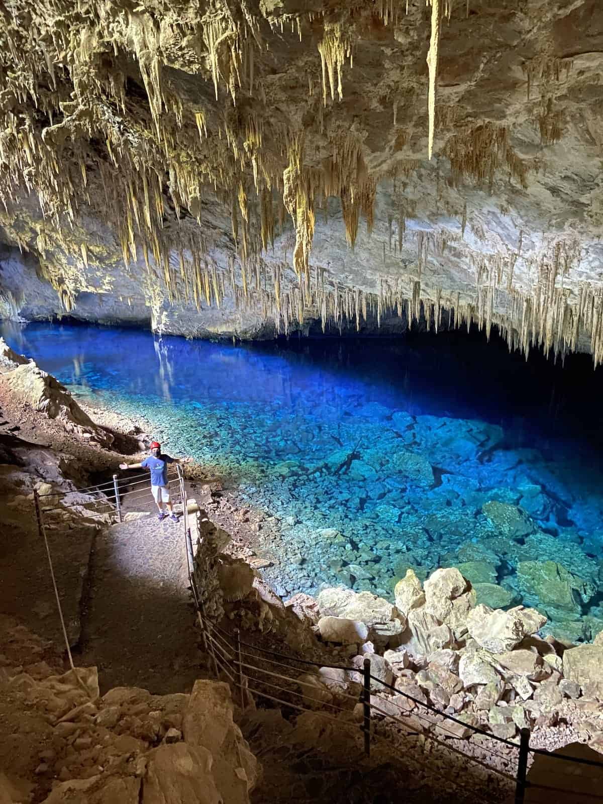 Bote no Rio Sucuri: Uma Aventura Flutuante por Paisagens Únicas - inspiração 1