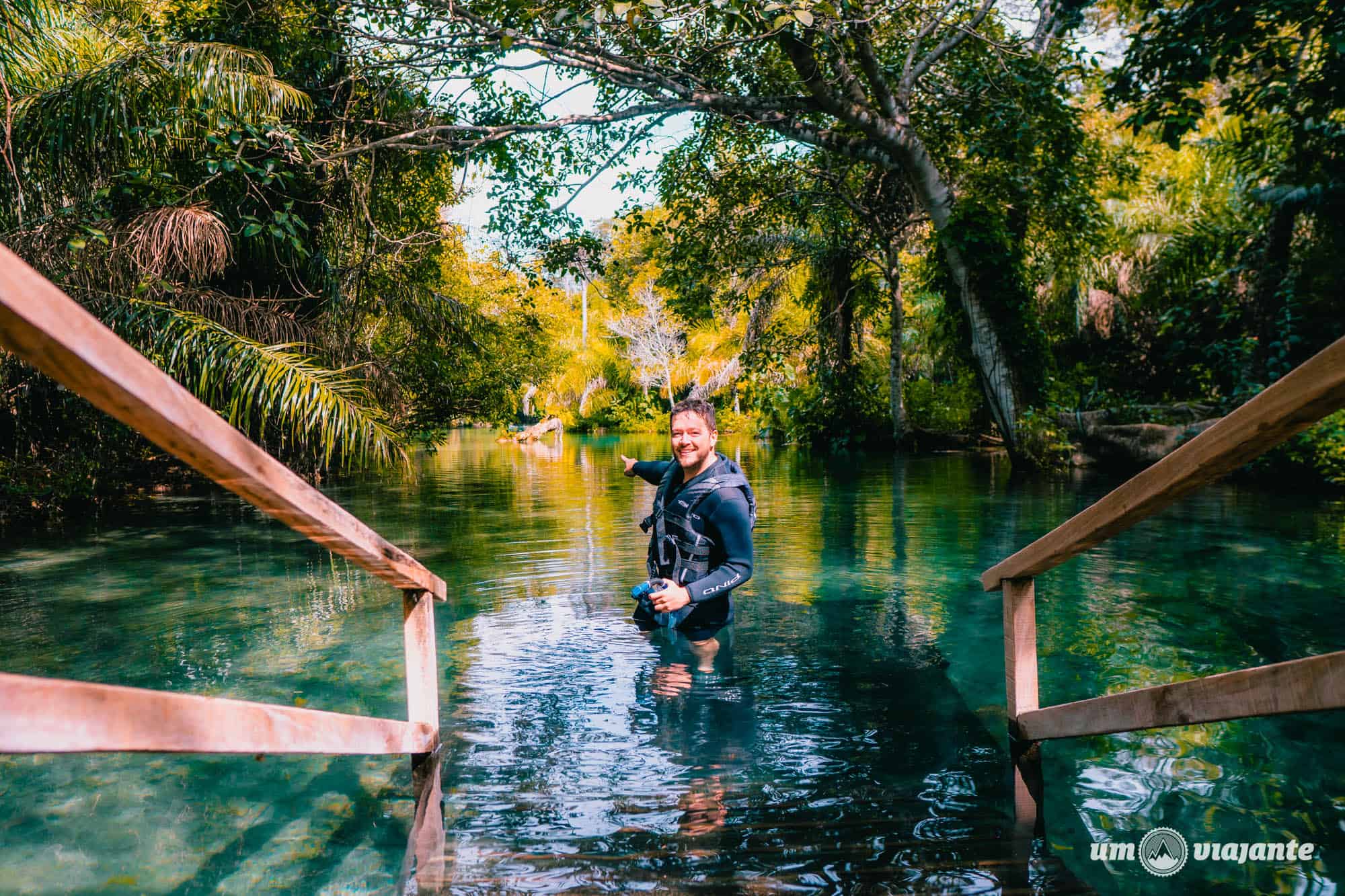 Nascentes da Serra da Bodoquena: O Berço das Águas Azuis - inspiração 1