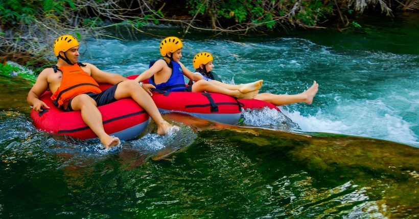 Aquário Natural: Conhecendo os Peixes em Seu Habitat - inspiração 1