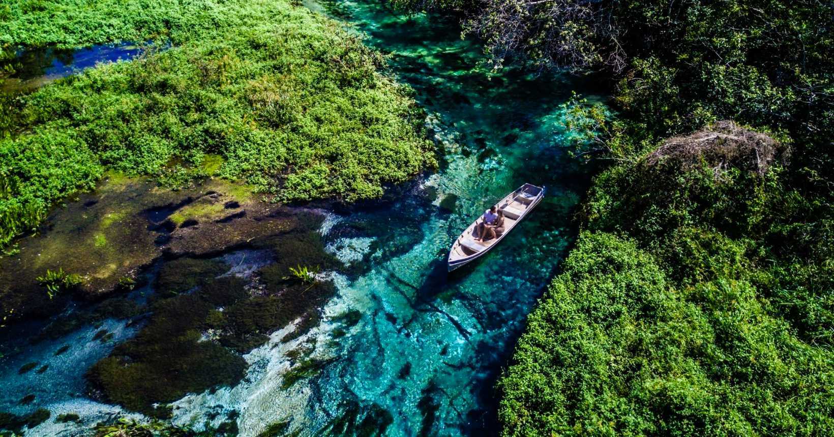 Aquário Natural: Conhecendo os Peixes em Seu Habitat - inspiração 2
