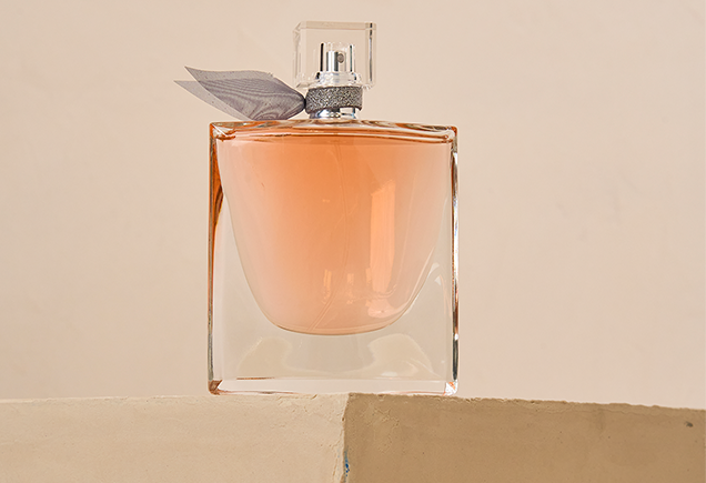 A Ciência Por Trás do Perfume: Como o Calor Transforma o Aroma - inspiração 2