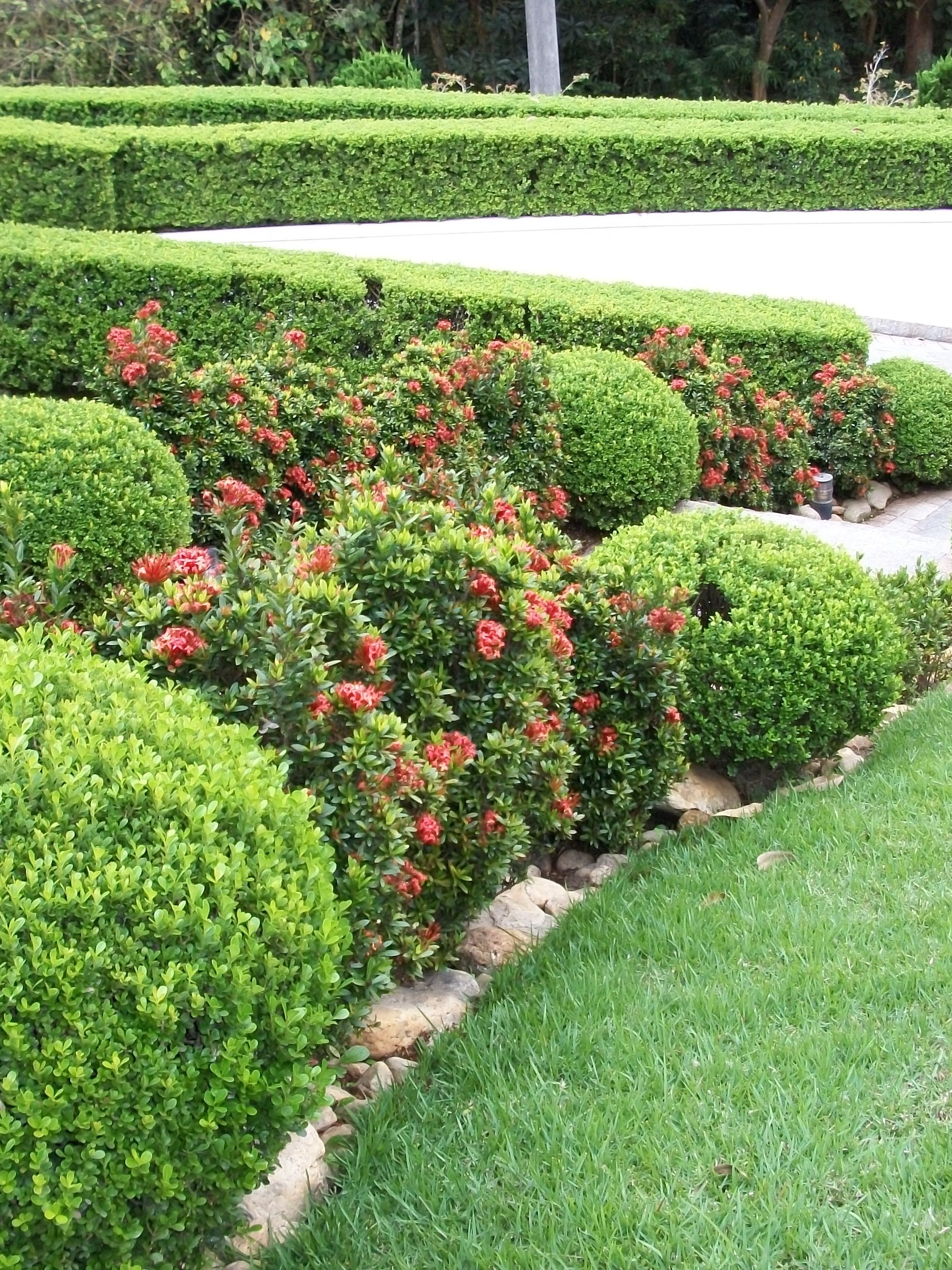 O Ritmo de Crescimento Ideal para Você - inspiração 2