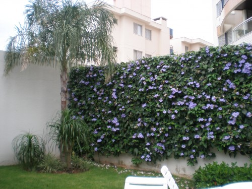 Proteção e Privacidade: Dicas de Especialista - inspiração 1