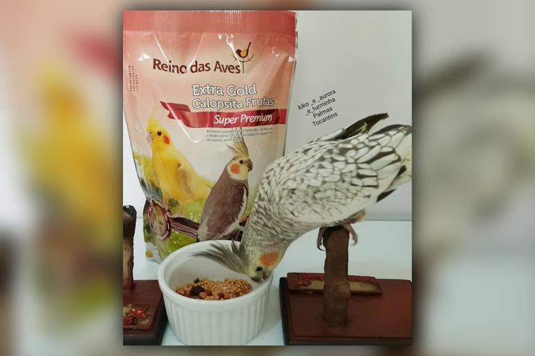 Nutrição Completa em Cada Grão: Vantagens Reais - inspiração 1