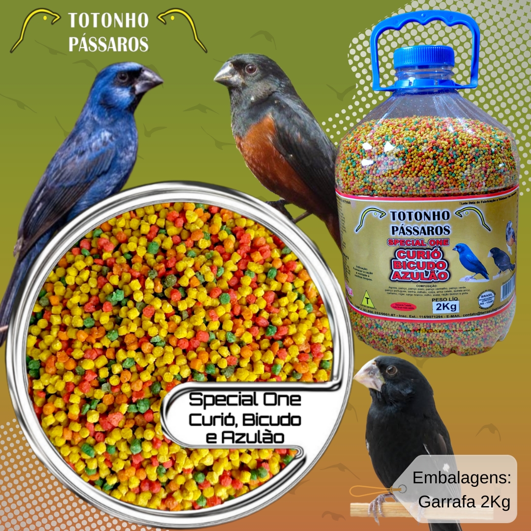 Estabilidade da Vitamina e Mineral: Conservando os Nutrientes - inspiração 2