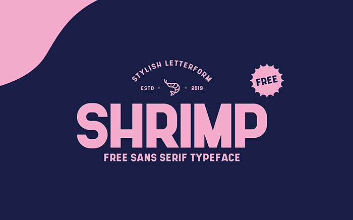 Fontfabric: Estilos Únicos para Destacar Seu Trabalho - inspiração 1