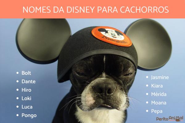 O Charme Inconfundível de Pluto: O Cão Clássico da Disney - inspiração 1