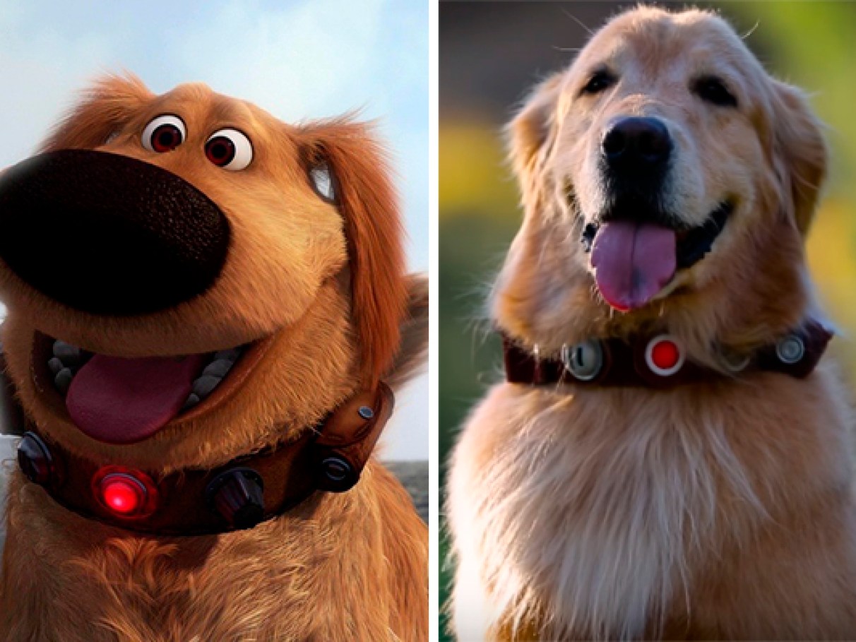 Pongo e Perdita: A Família Dálmata que Roubou a Cena em '101 Dálmatas' - inspiração 1