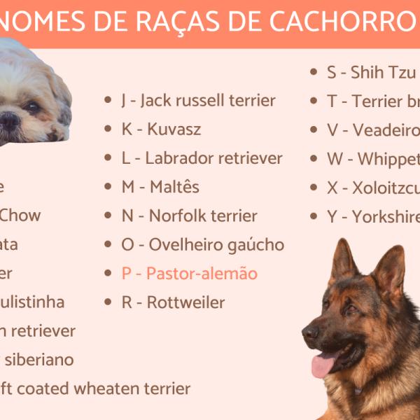 Encantos da Letra 'U' para Fêmeas de Quatro Patas - inspiração 1