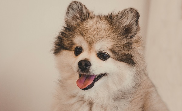 Nomes Delicados e Doces com Toque de 'U' - inspiração 1