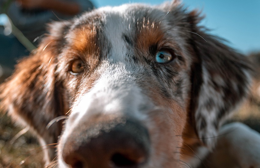 Nomes Curtos e Marcantes que Levam a Letra 'U' - inspiração 1