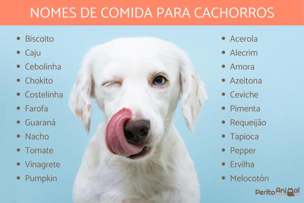 Nomes com 'U' para Cães de Raças Pequenas e Ágeis - inspiração 1
