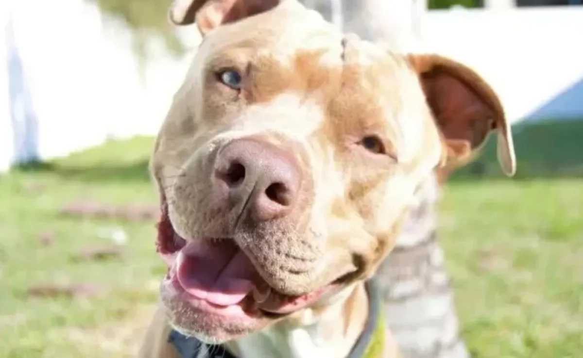 Nomes Inspirados em Personagens Marcantes (e Calmos!) - inspiração 1