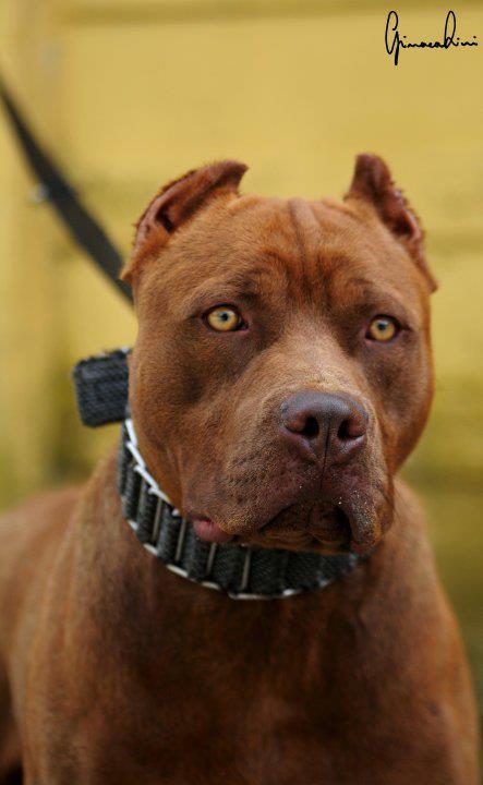 Nomes de Origem Exótica que Surpreendem - inspiração 1