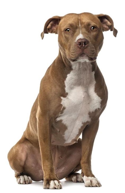 Nomes de Origem Exótica que Surpreendem - inspiração 2