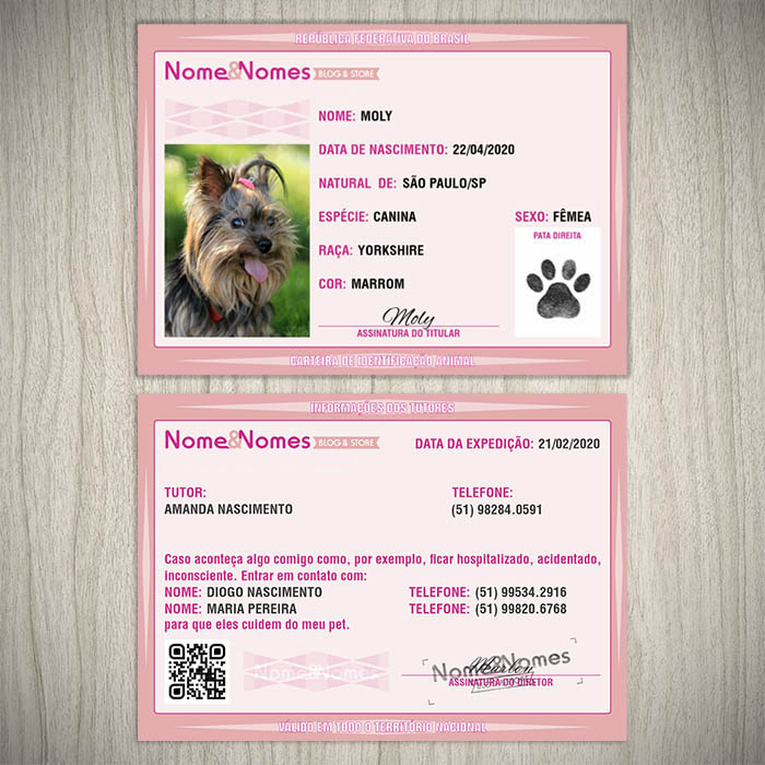 Nomes com Humor Sutil e Inteligente - inspiração 1