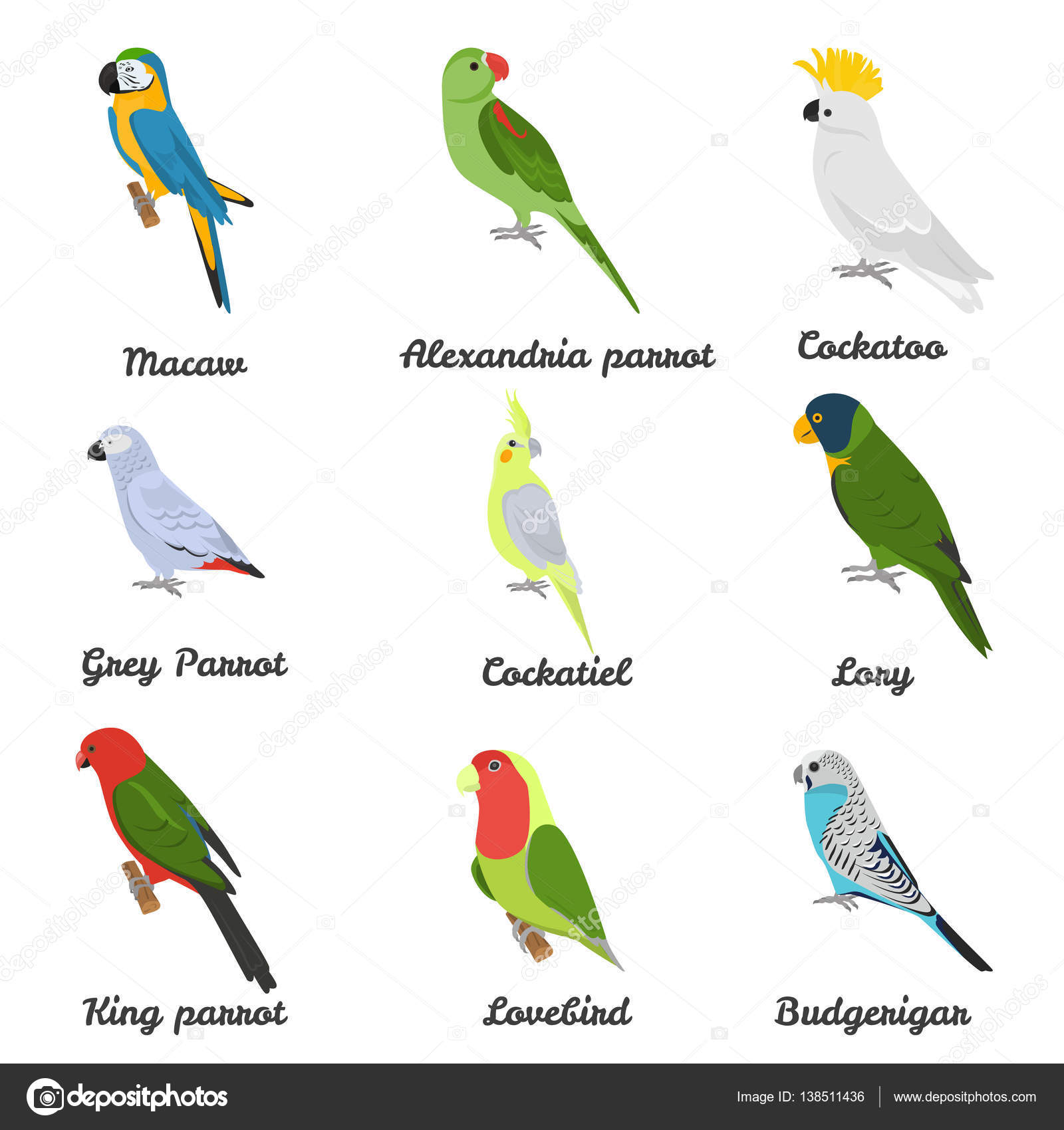 Nomes Únicos e Diferentes: Para Aves que Brilham Sozinhas - inspiração 1