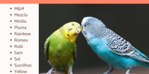 Nomes Inspirados na Natureza: Cores e Sons da Floresta - inspiração 1