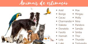 Nomes Inspirados na Natureza: Cores e Sons da Floresta - inspiração 2