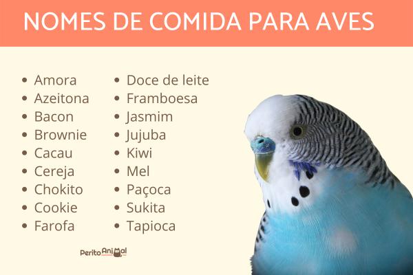 Nomes Divertidos e Engraçados: Risadas Garantidas - inspiração 1