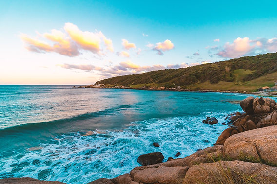 Descubra a Vida Marinha no Projeto Baleia Franca - inspiração 2