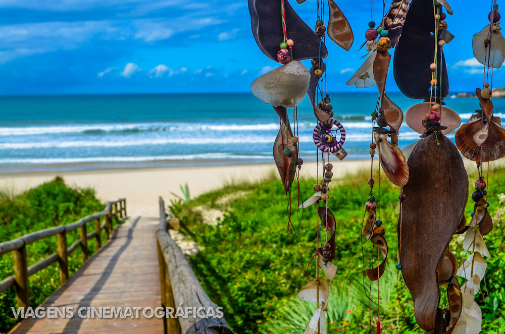 Gastronomia Local: Sabores Que Encantam - inspiração 1