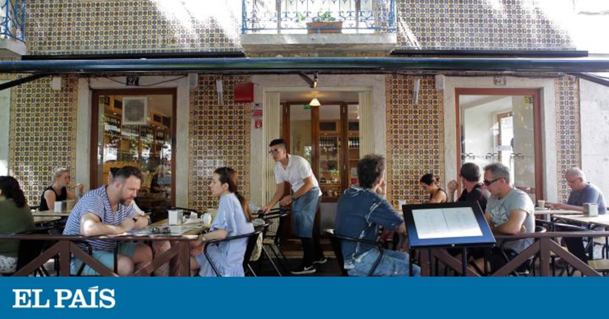 Vinhos da Casa e Bebidas Locais: Harmonização Perfeita sem Pesar no Bolso - inspiração 1