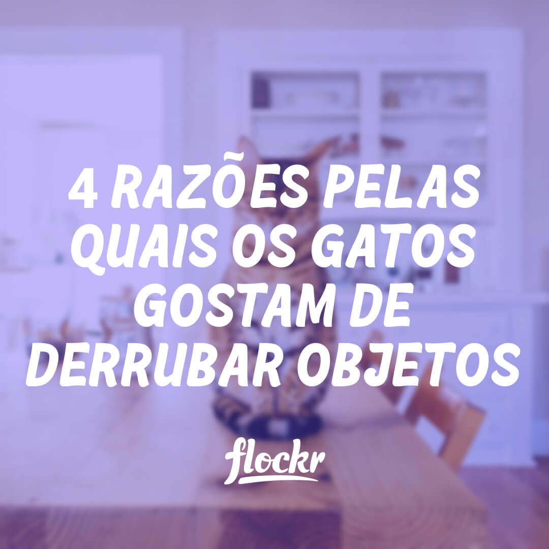 Aprendizado e Recompensa: O Que Eles Ganham Com Isso? - inspiração 2
