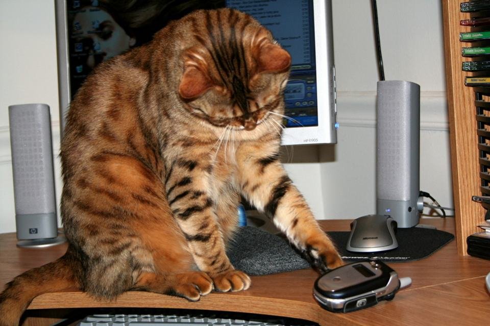 Brincadeira e Exploração: O Mundo Visto do Alto da Mesa - inspiração 1