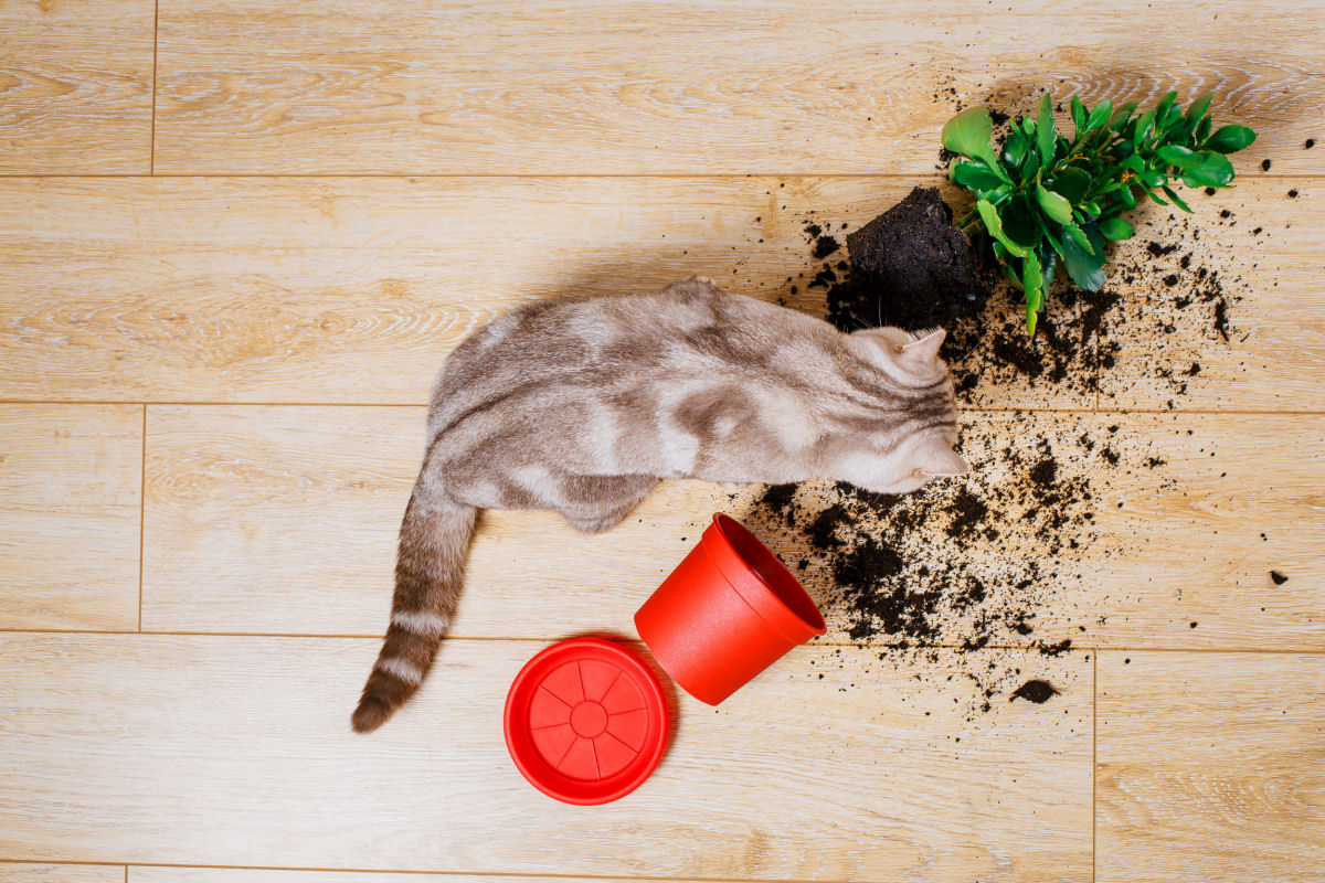 Curiosidade Olfativa e Tátil: Testando a Textura e o Cheiro - inspiração 2