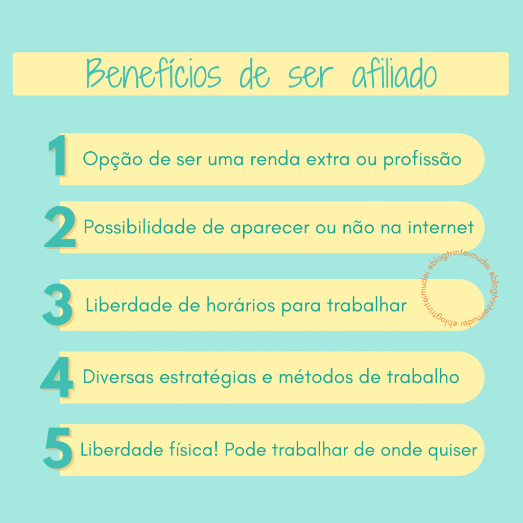 Variedade de Nichos: Encontre Seu Ponto Forte e Apaixone-se - inspiração 1