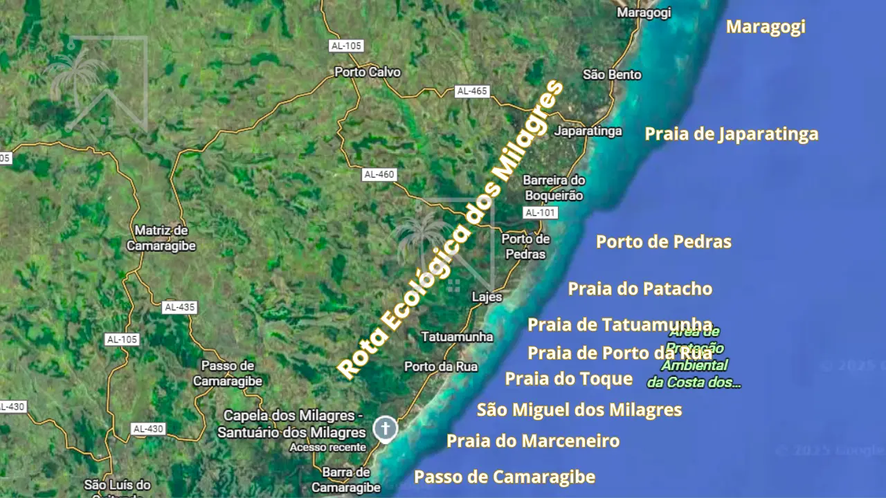 Passeios Imperdíveis: Mergulhos, Passeios de Jangada e Trilhas - inspiração 1