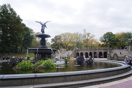 Planejamento para o Dia no Central Park: O Que Não Perder - inspiração 2