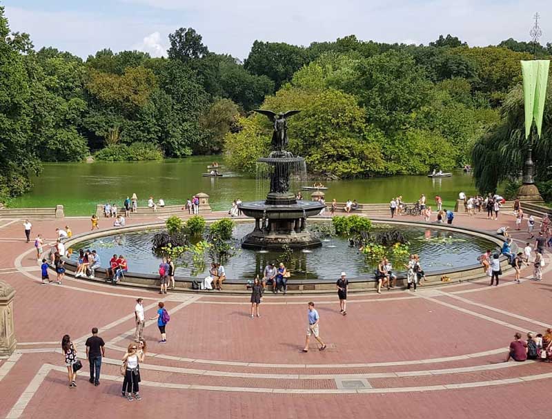 Alimentação e Pausas: Onde Recarregar as Energias Perto do Park - inspiração 1