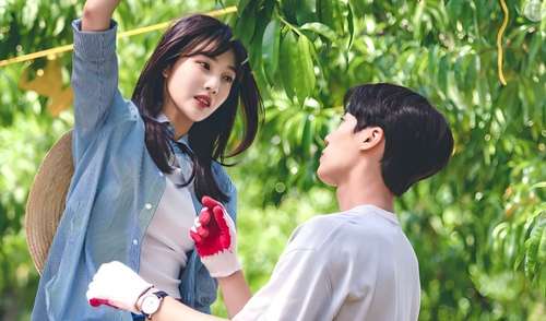 Do Asfalto para o Pasto: A Transformação de Personagens em 'Virgin River' - inspiração 1